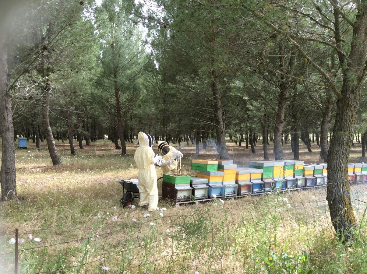 Agriturismo Gennemara B&B Perdaxius Екстериор снимка