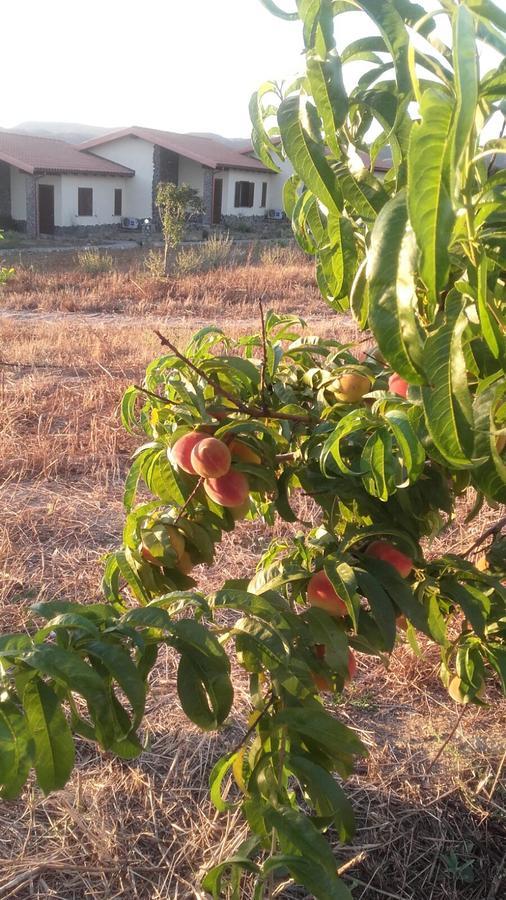 Agriturismo Gennemara B&B Perdaxius Екстериор снимка